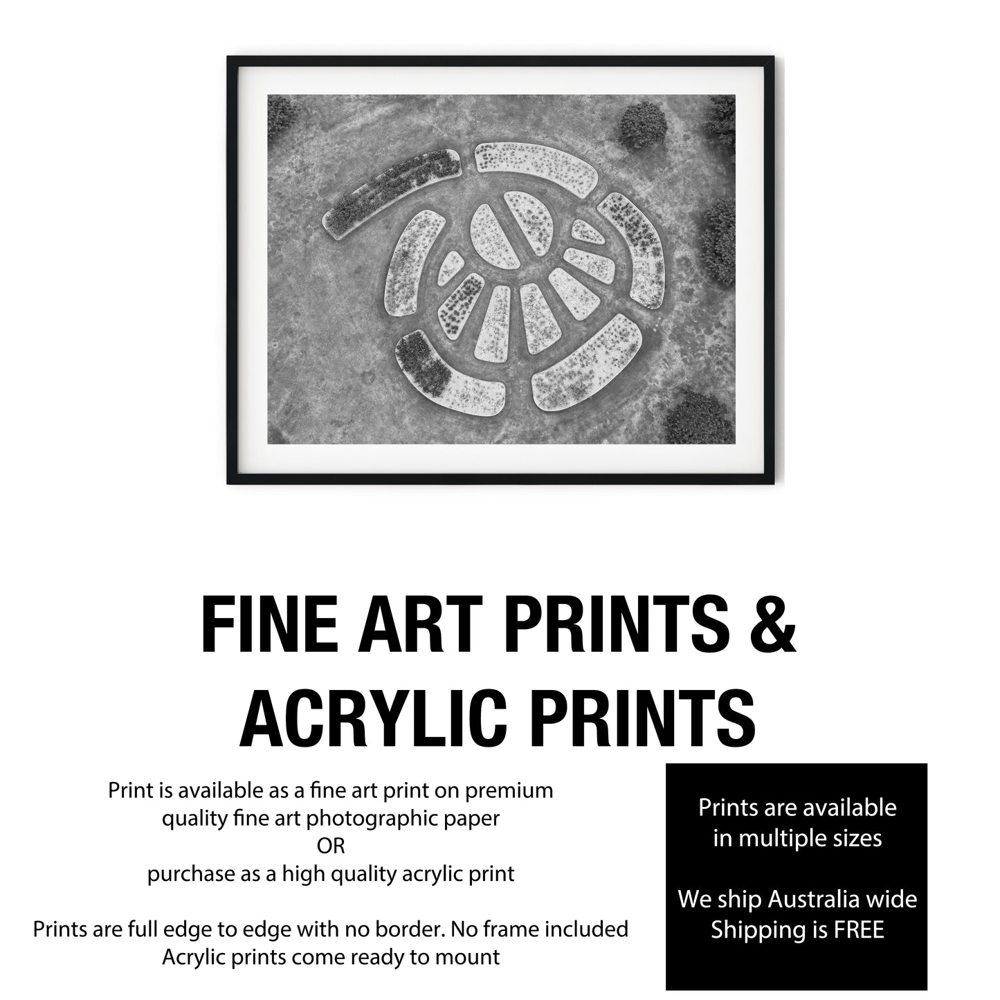 Aerial View of Circular Geometric Garden Beds Black and White Print