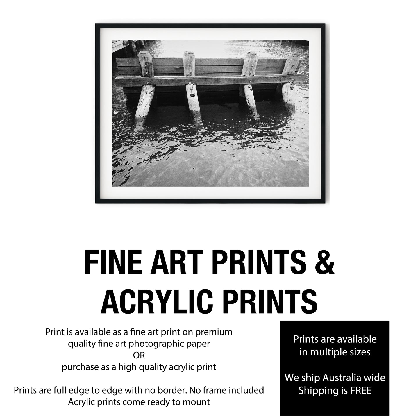 Rustic Wooden Pier Pilings in Water Black and White Print