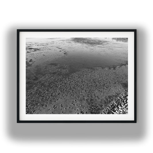 Low Tide Mudflat Textures Black and White Print