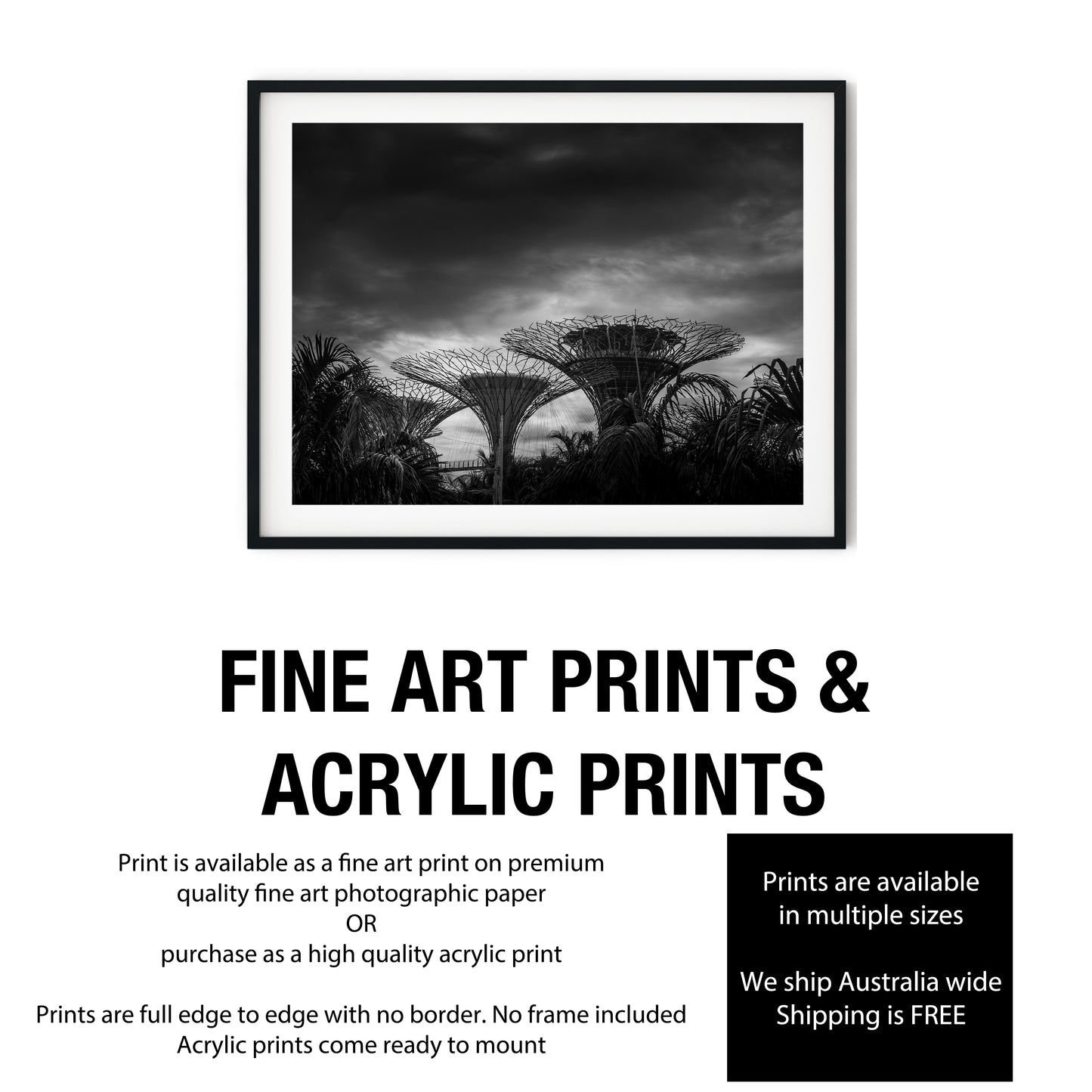 Dramatic Supertree Grove Singapore Black and White Print