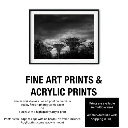Dramatic Supertree Grove Singapore Black and White Print