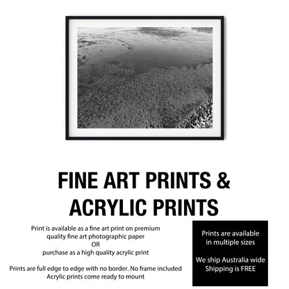 Low Tide Mudflat Textures Black and White Print