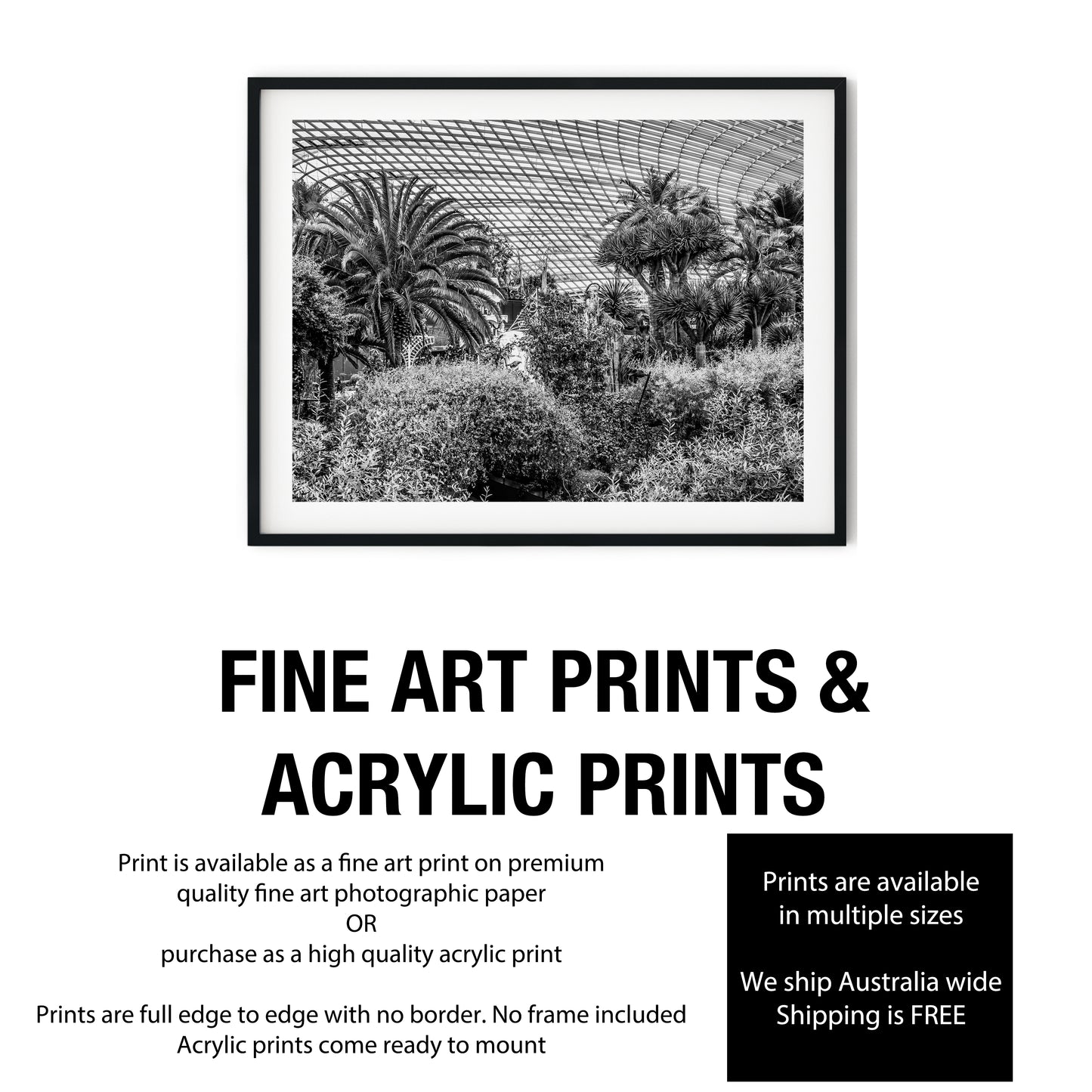 Botanical Conservatory Glass Dome Black and White Print