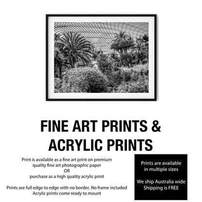 Botanical Conservatory Glass Dome Black and White Print