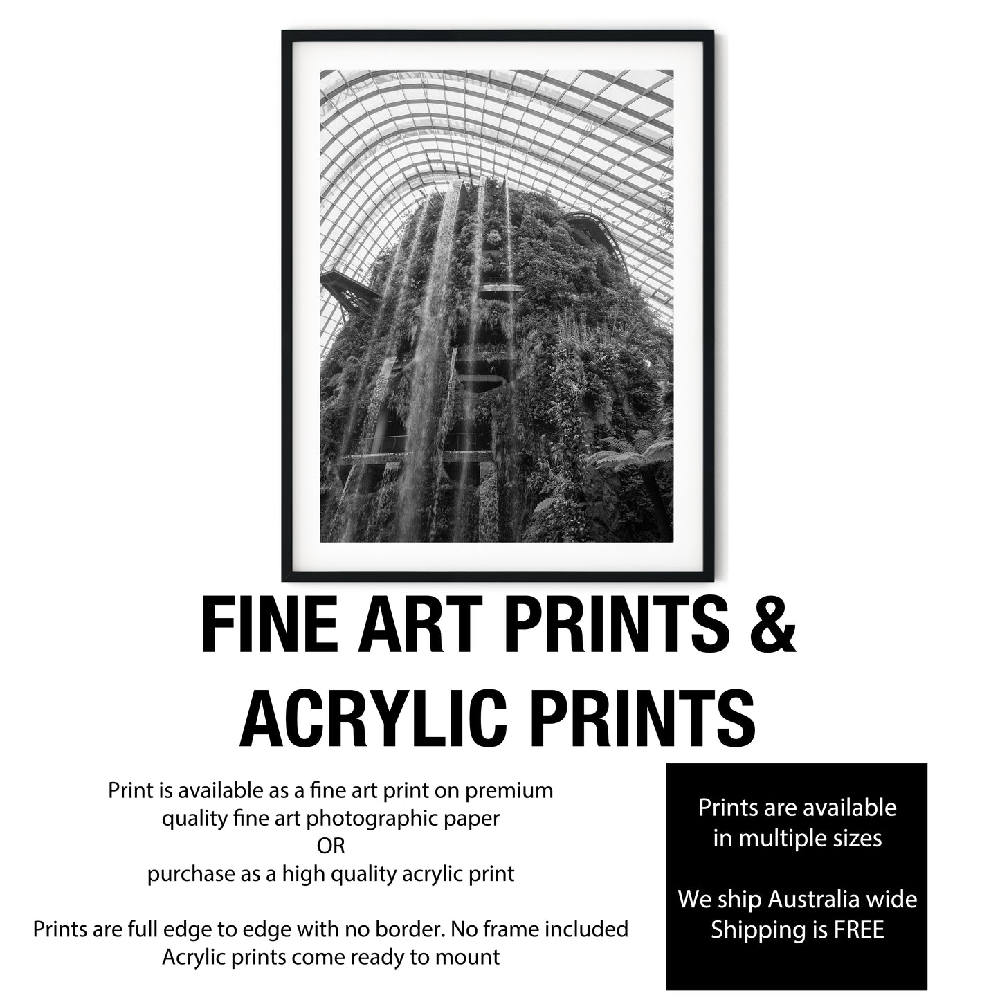 Cloud Forest Waterfall Singapore Black and White Print
