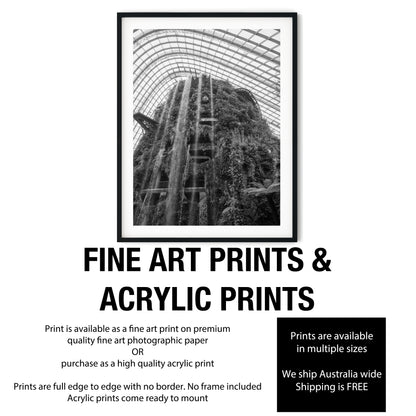 Cloud Forest Waterfall Singapore Black and White Print
