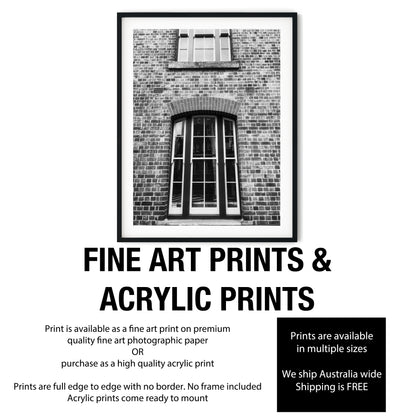 Vintage Arched Sash Windows on Brick Facade Black and White Print