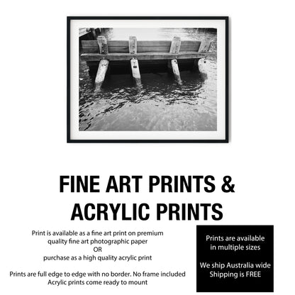 Rustic Wooden Pier Pilings in Water Black and White Print