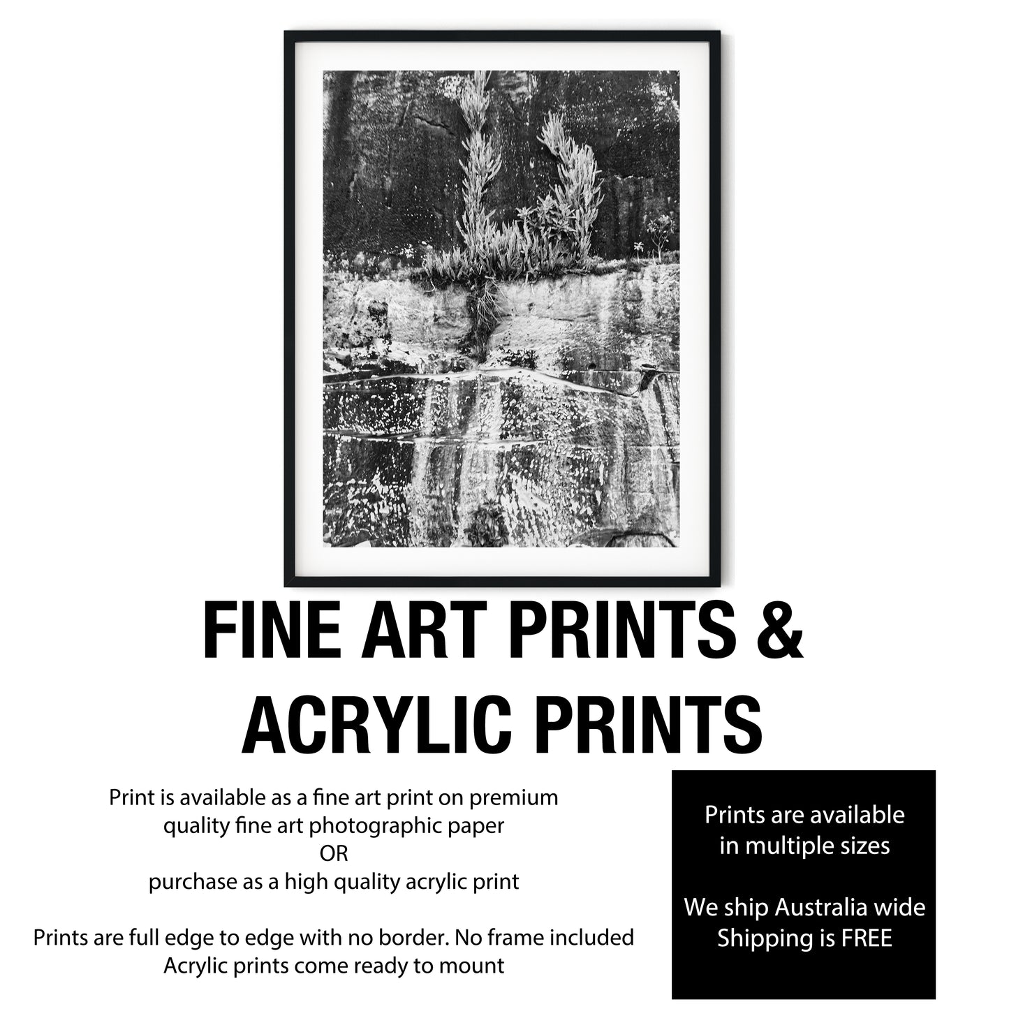 Resilient Plants on Weathered Rock Cliff Face Black and White Print