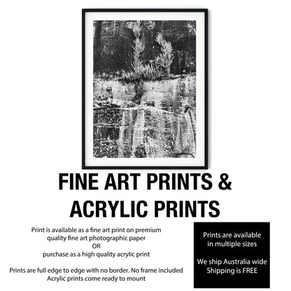 Resilient Plants on Weathered Rock Cliff Face Black and White Print