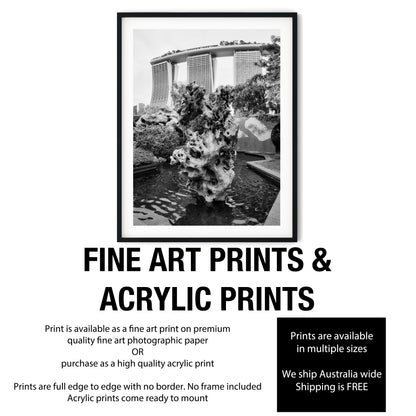Marina Bay Sands Behind Scholar's Rock Black and White Print