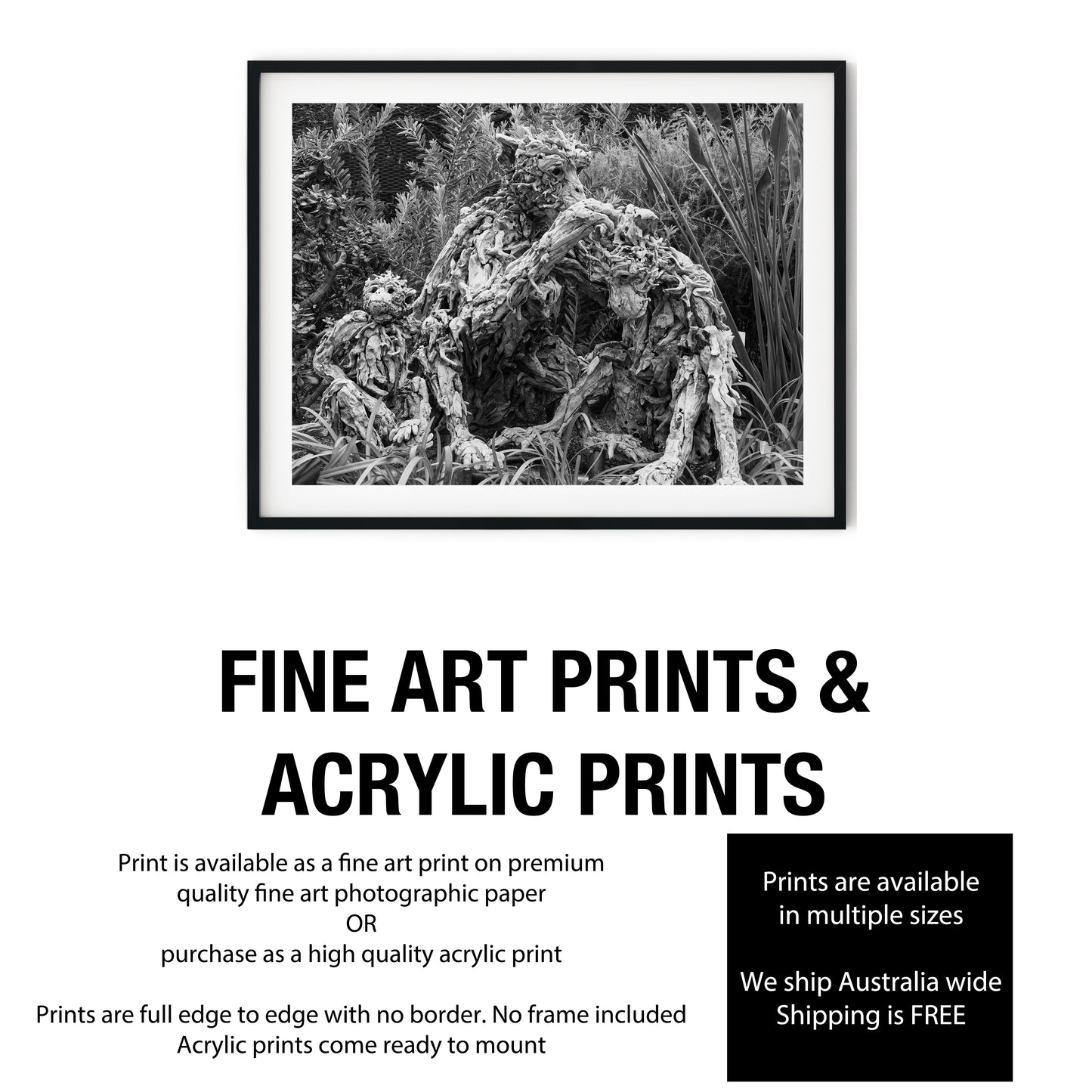Driftwood Monkey Family Sculptures Black and White Print