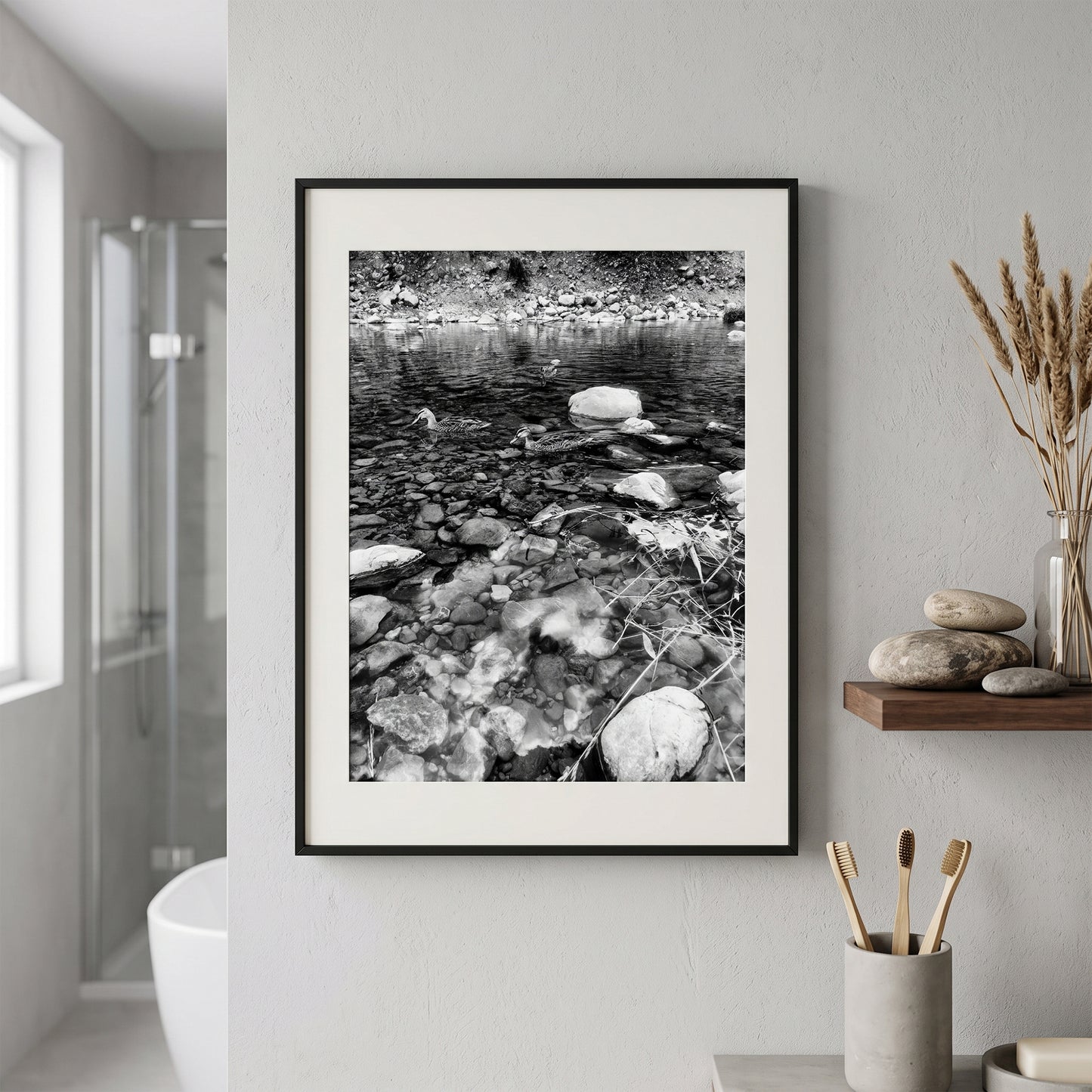 Ducks in Clear Rocky Stream Black and White Print