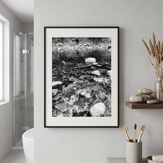 Ducks in Clear Rocky Stream Black and White Print