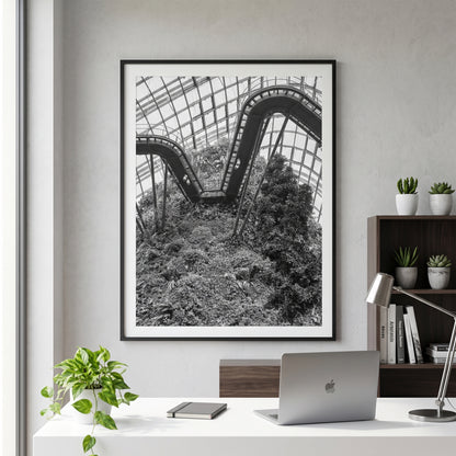 Singapore Cloud Forest Walkway Black and White Print