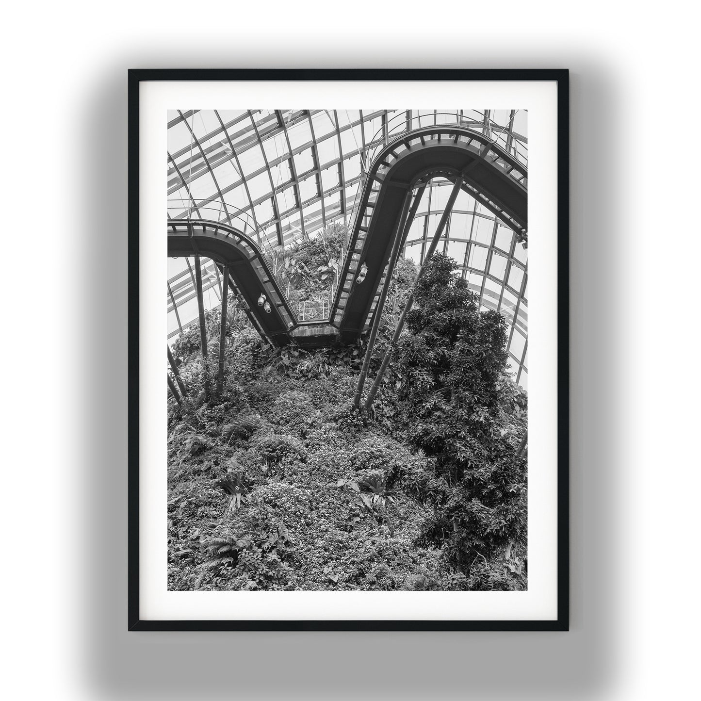 Singapore Cloud Forest Walkway Black and White Print