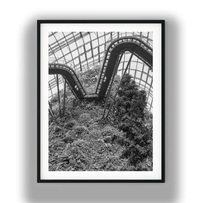 Singapore Cloud Forest Walkway Black and White Print