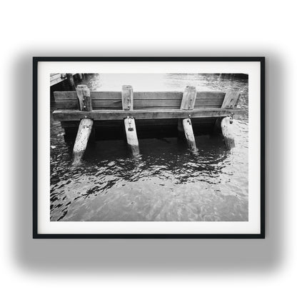 Rustic Wooden Pier Pilings in Water Black and White Print