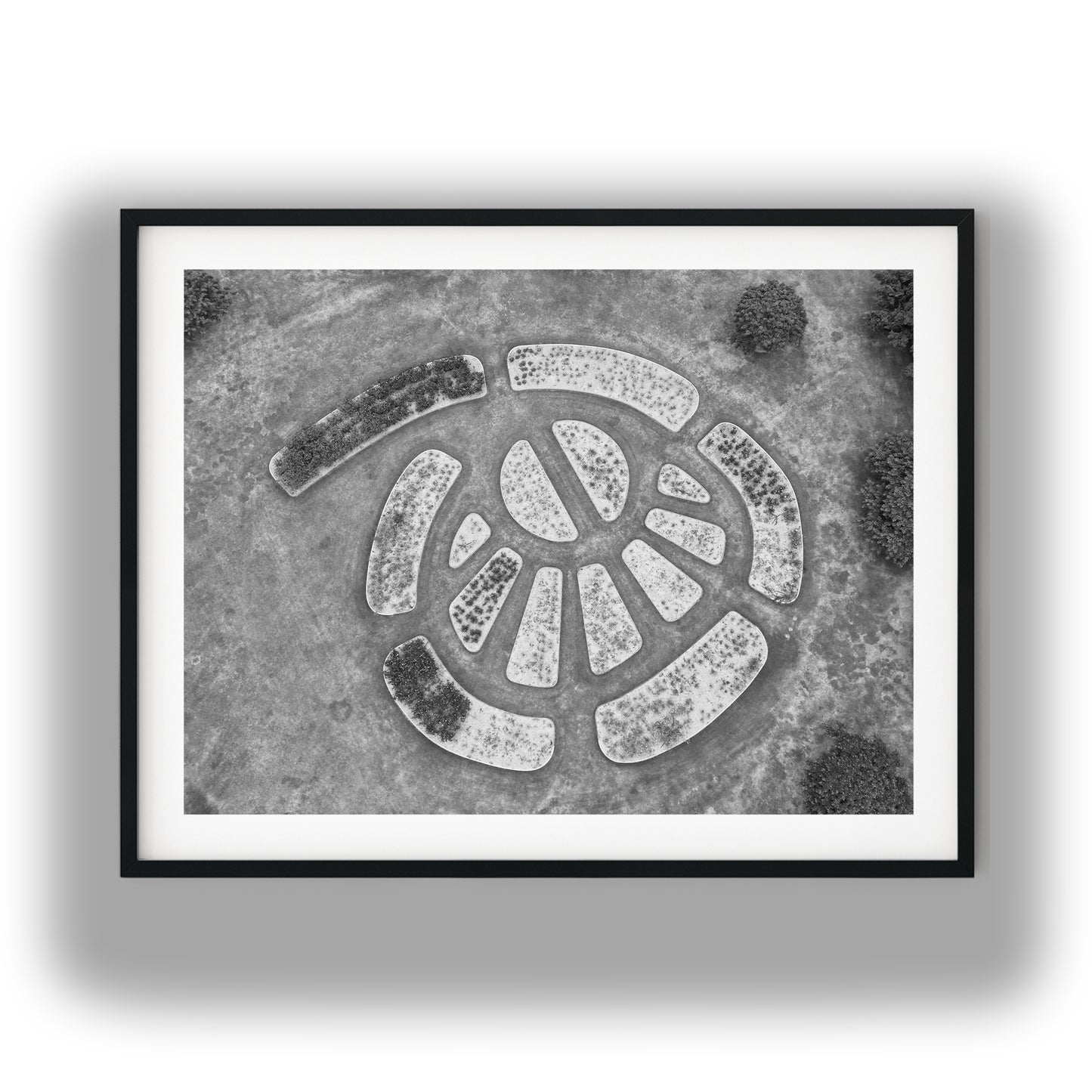 Aerial View of Circular Geometric Garden Beds Black and White Print
