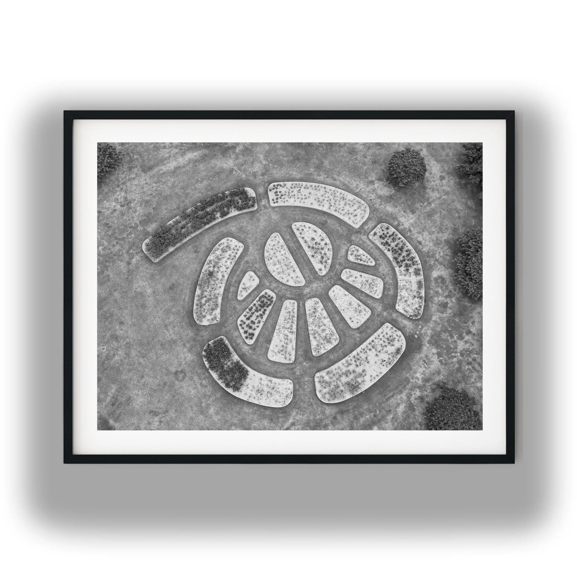 Aerial View of Circular Geometric Garden Beds Black and White Print