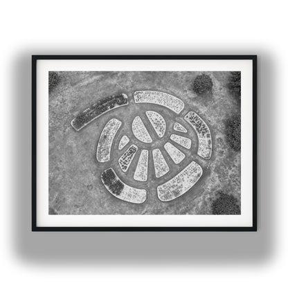 Aerial View of Circular Geometric Garden Beds Black and White Print
