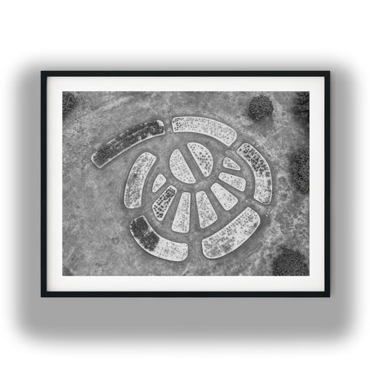 Aerial View of Circular Geometric Garden Beds Black and White Print