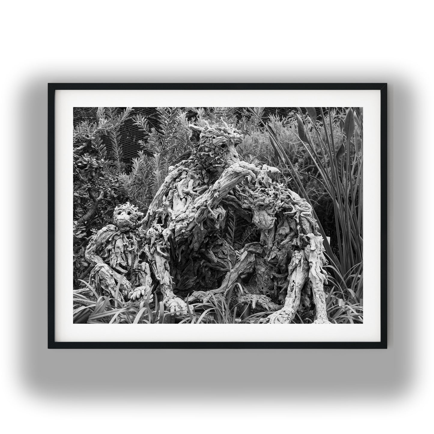 Driftwood Monkey Family Sculptures Black and White Print