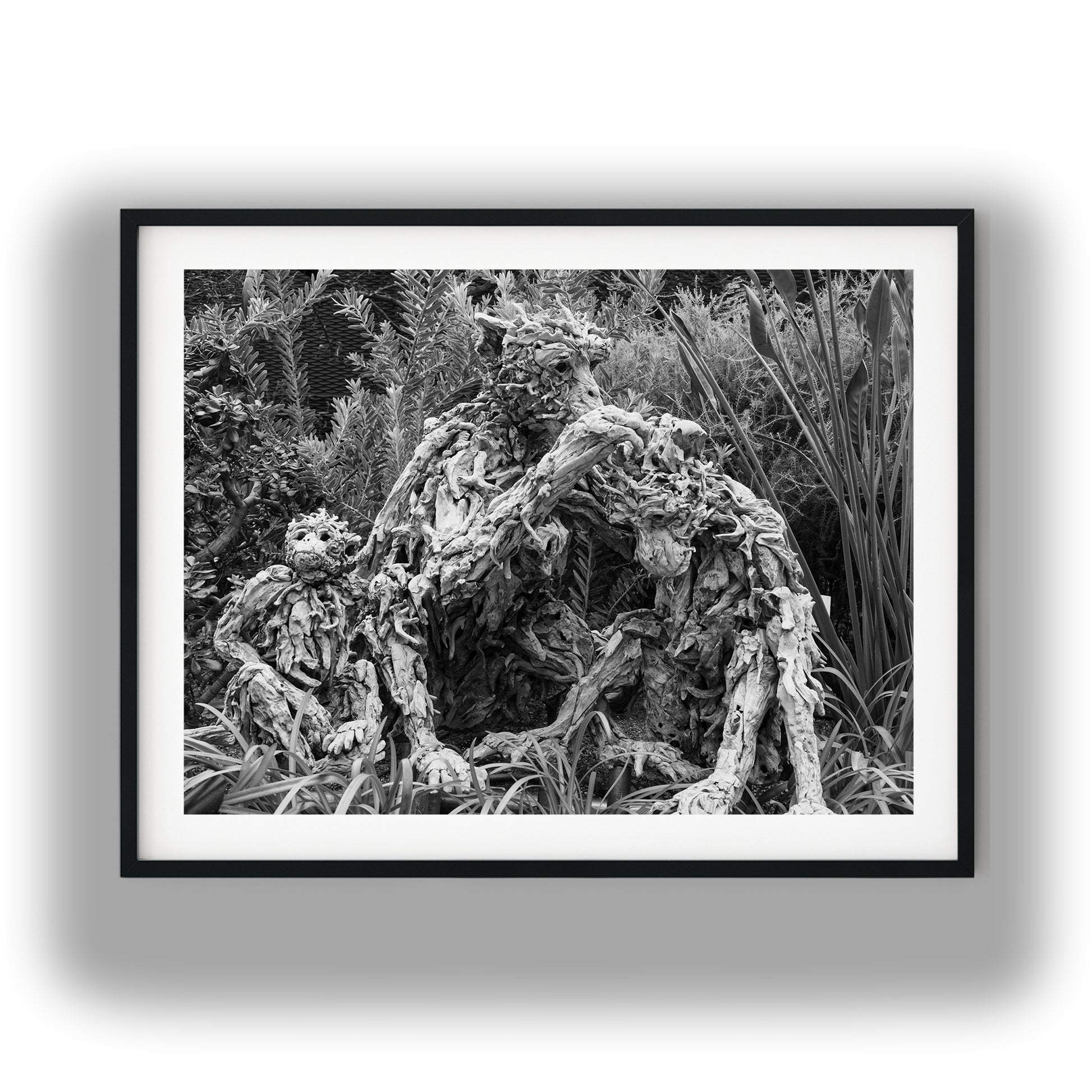 Driftwood Monkey Family Sculptures Black and White Print