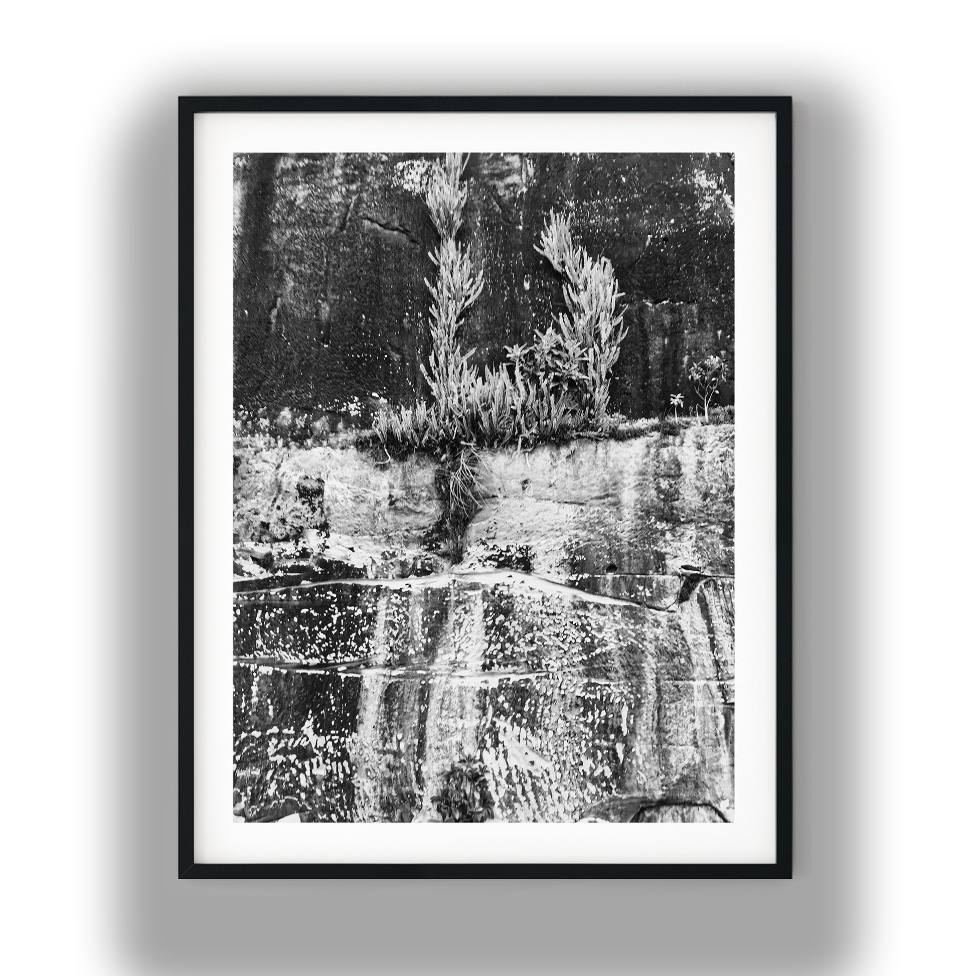 Resilient Plants on Weathered Rock Cliff Face Black and White Print