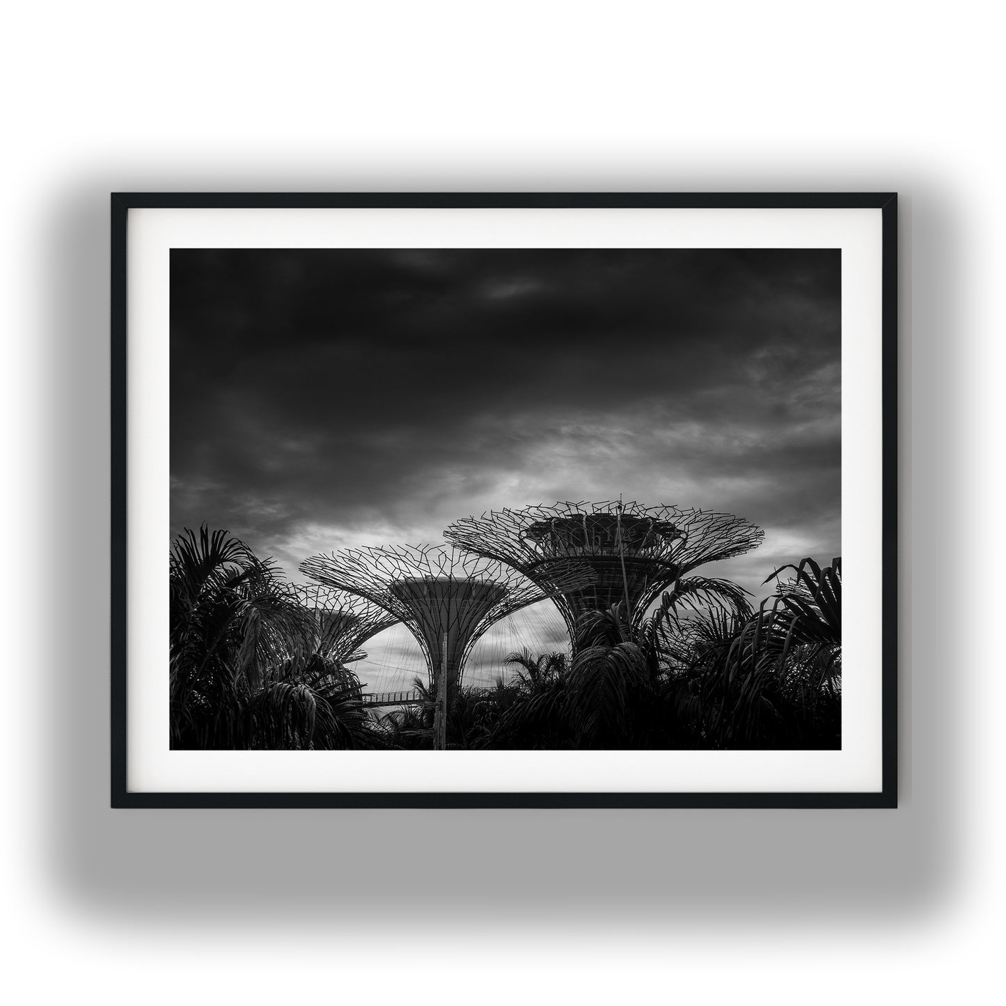 Dramatic Supertree Grove Singapore Black and White Print