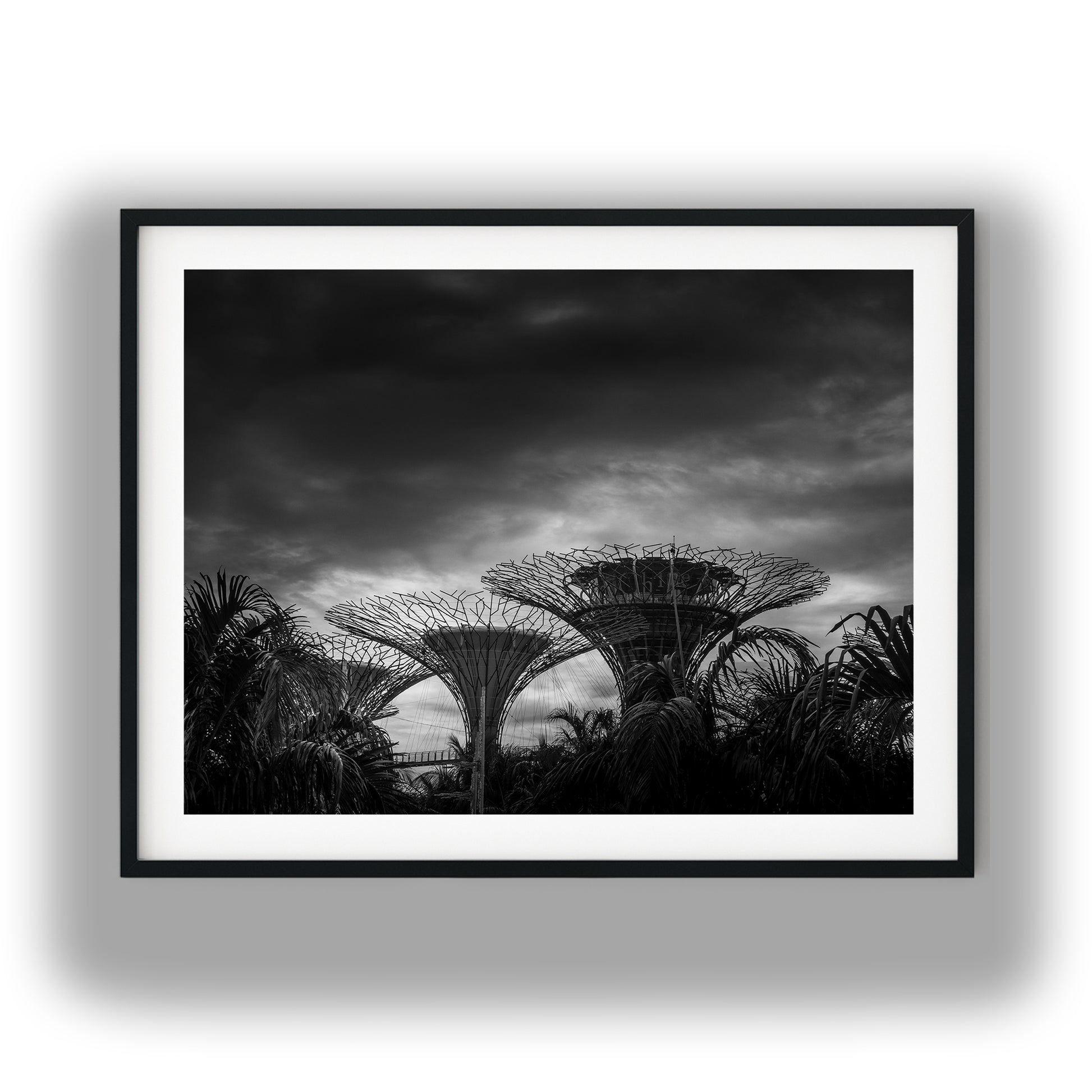 Dramatic Supertree Grove Singapore Black and White Print