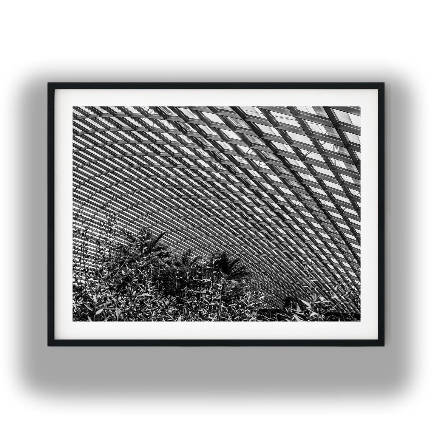 Curved Glass Conservatory Dome Black and White Print