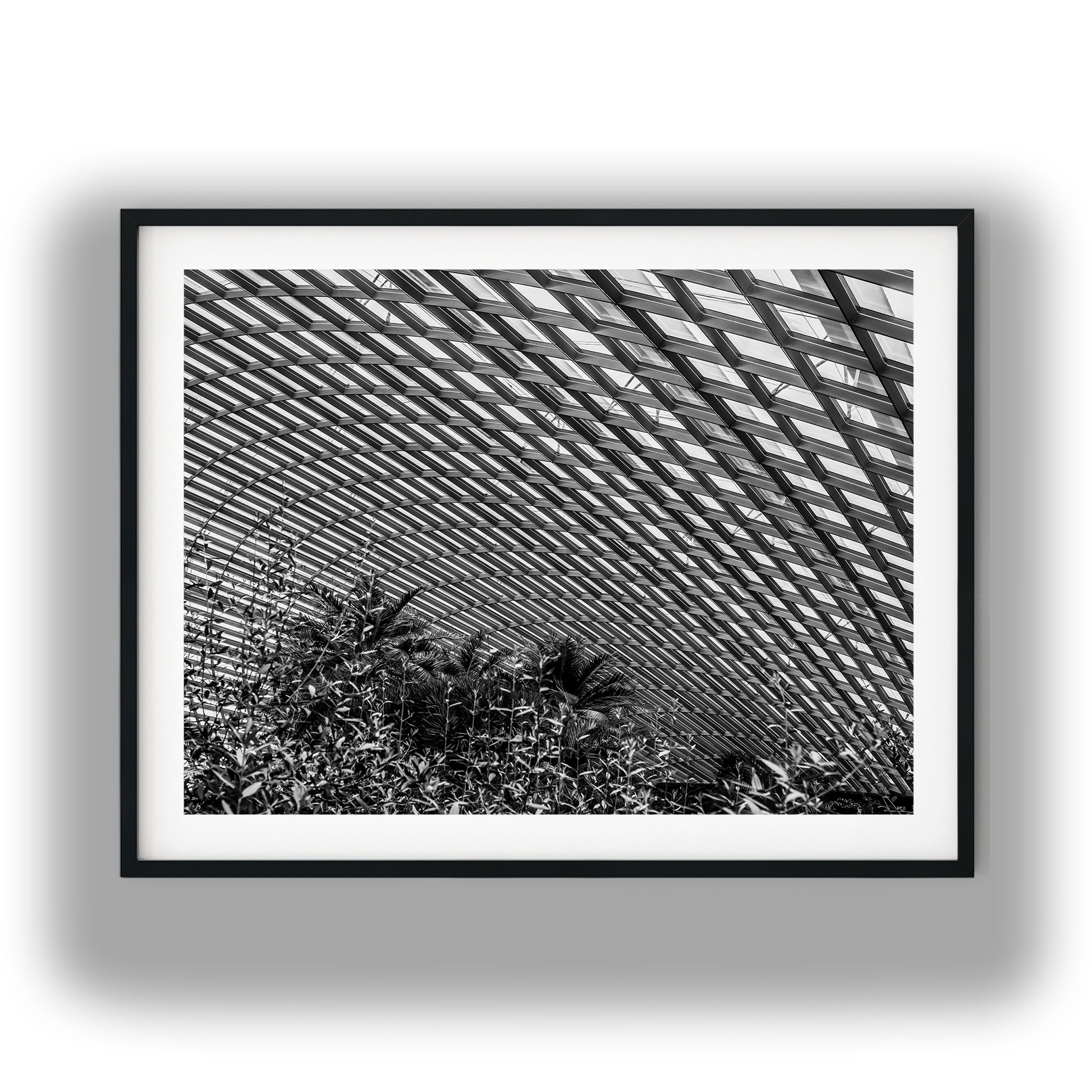 Curved Glass Conservatory Dome Black and White Print