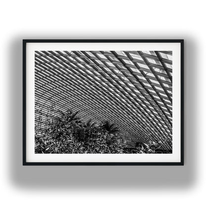 Curved Glass Conservatory Dome Black and White Print
