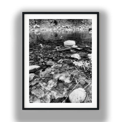 Ducks in Clear Rocky Stream Black and White Print