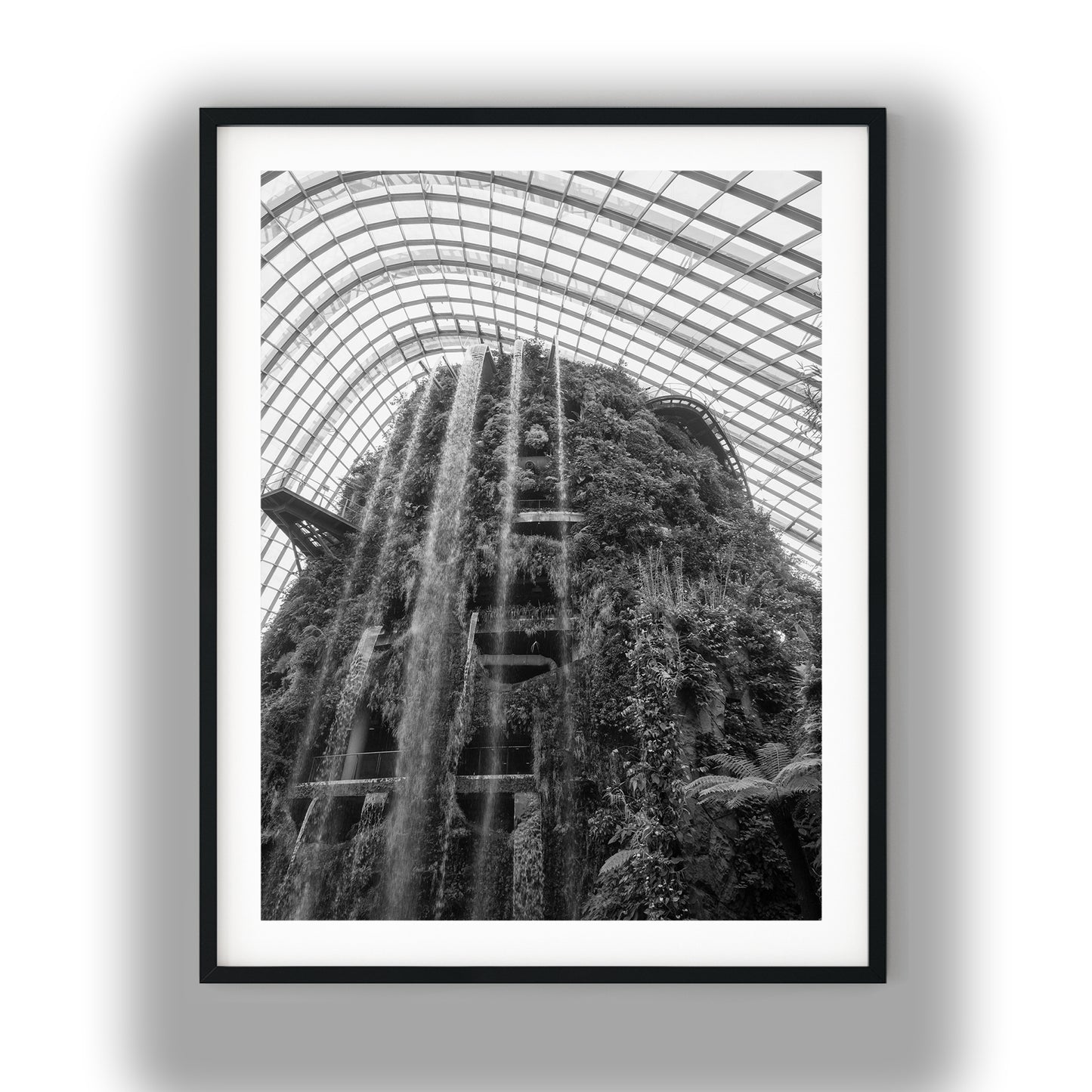 Cloud Forest Waterfall Singapore Black and White Print