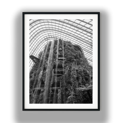 Cloud Forest Waterfall Singapore Black and White Print