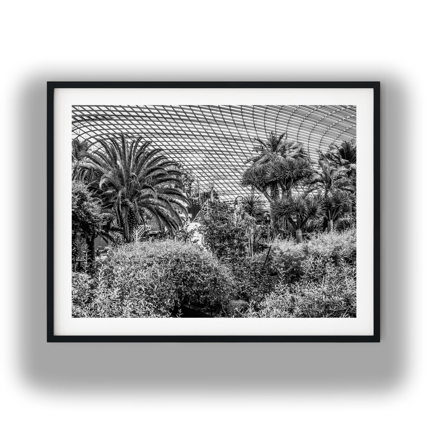 Botanical Conservatory Glass Dome Black and White Print