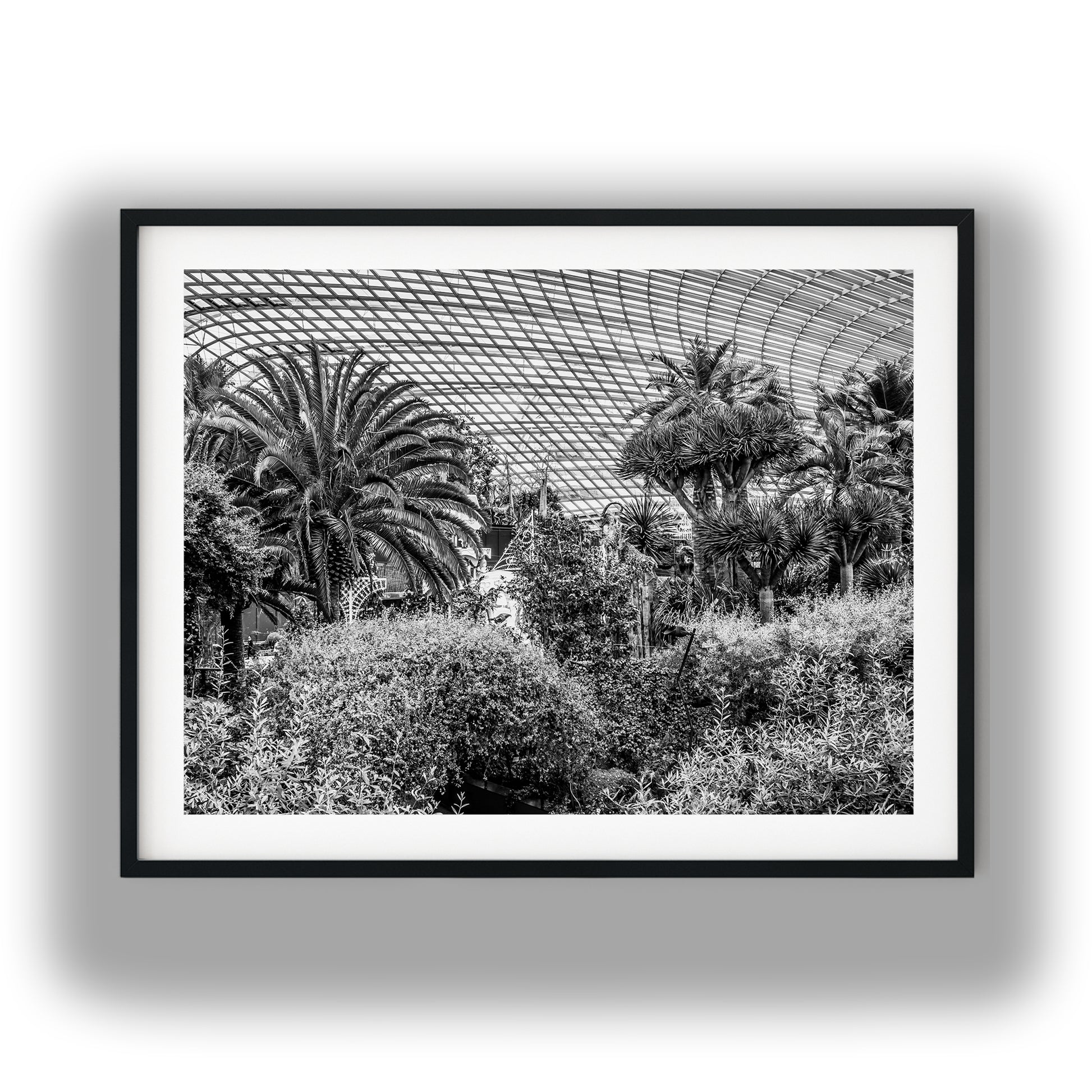 Botanical Conservatory Glass Dome Black and White Print