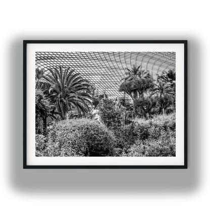 Botanical Conservatory Glass Dome Black and White Print