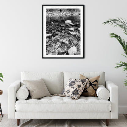 Ducks in Clear Rocky Stream Black and White Print