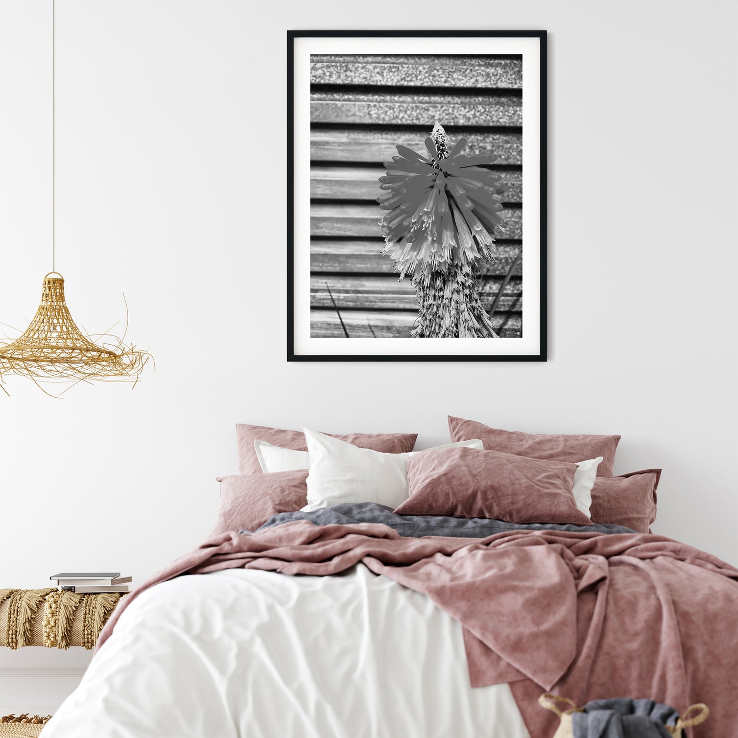 Red Hot Poker Flower Black and White Print