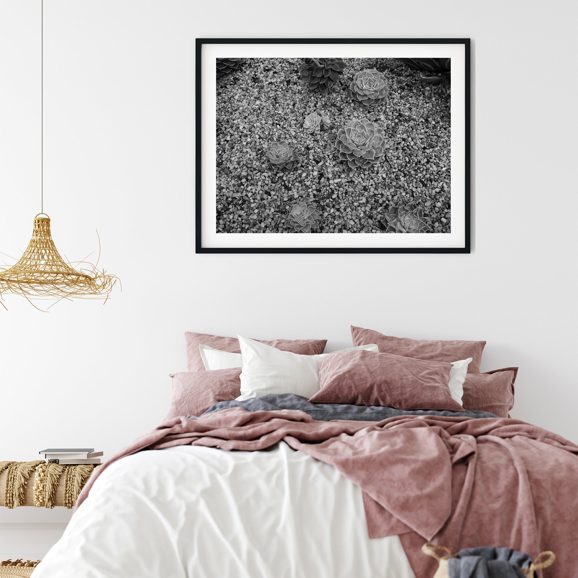 Echeveria Succulents in Gravel Black and White Print