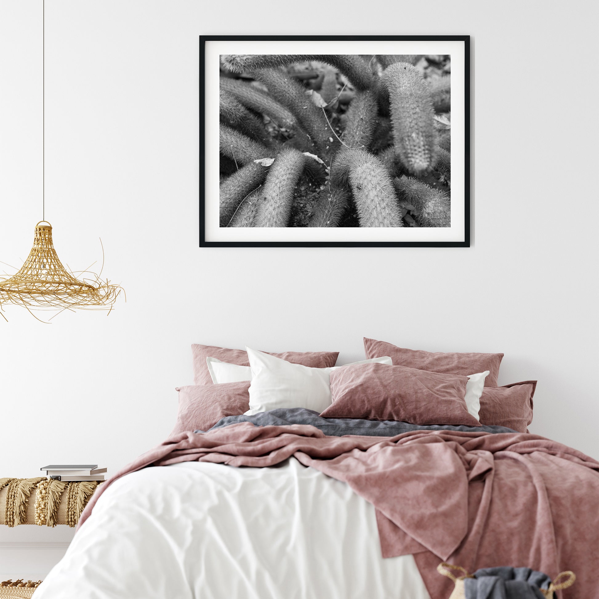 Creeping Spiny Cactus Stems Black and White Print