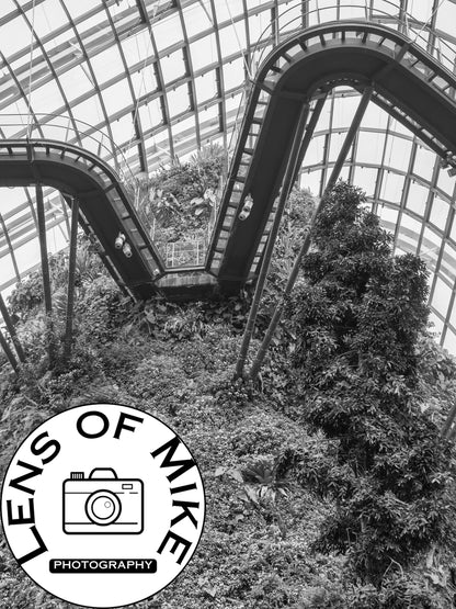 Singapore Cloud Forest Walkway Black and White Print