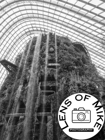Cloud Forest Waterfall Singapore Black and White Print