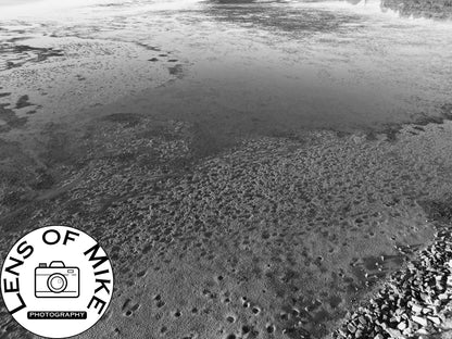 Low Tide Mudflat Textures Black and White Print