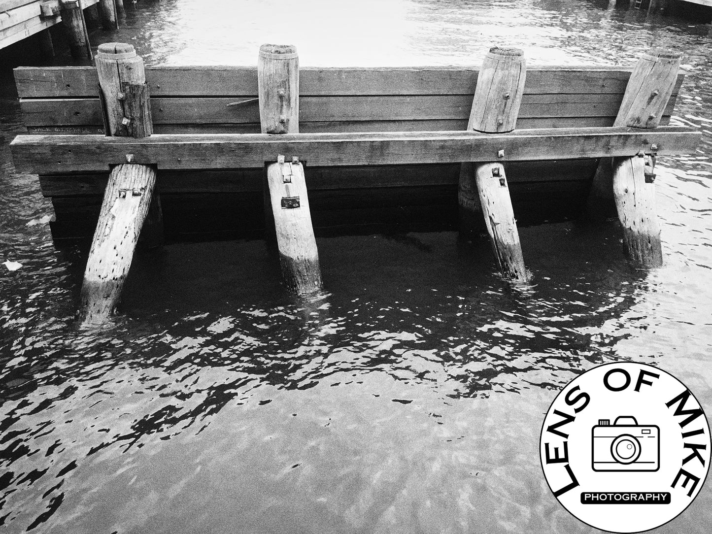 Rustic Wooden Pier Pilings in Water Black and White Print