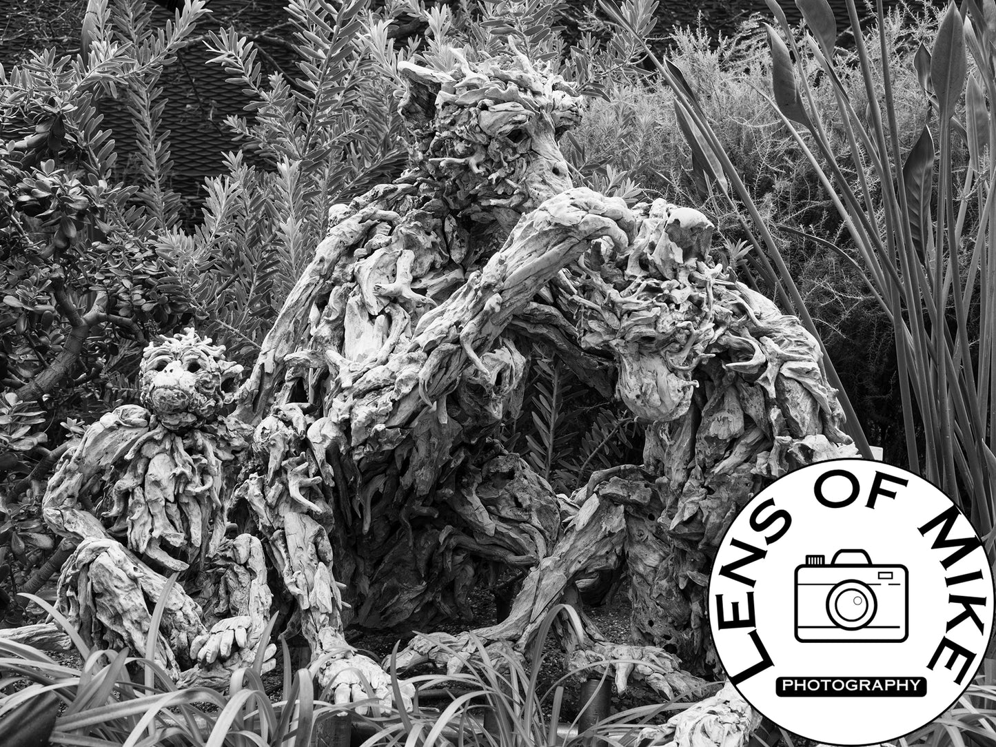 Driftwood Monkey Family Sculptures Black and White Print