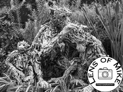 Driftwood Monkey Family Sculptures Black and White Print